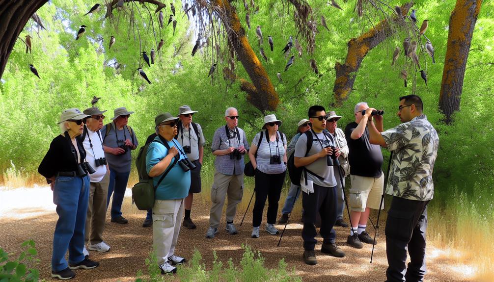 birdwatching tips for parks