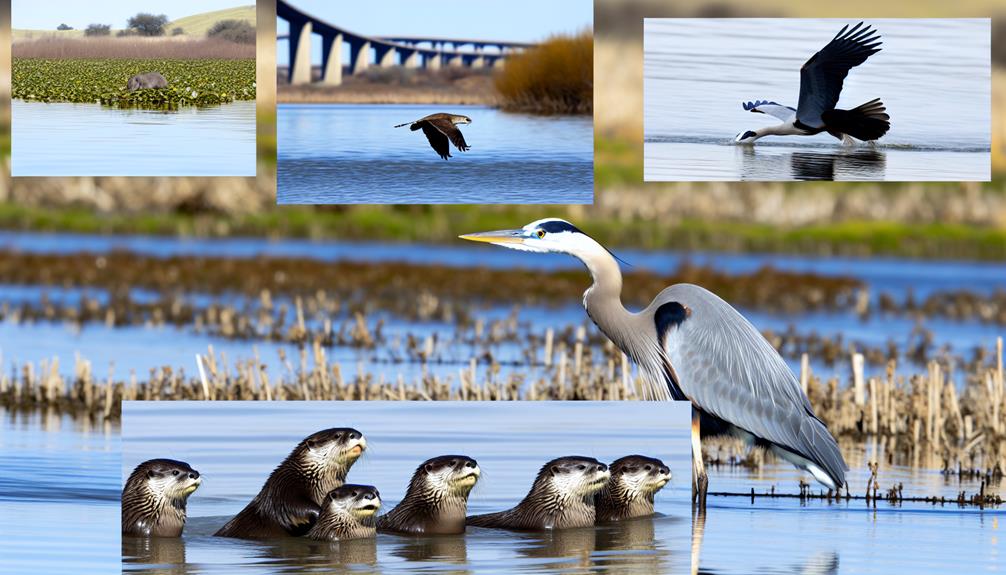 exploring nature s vibrant habitat