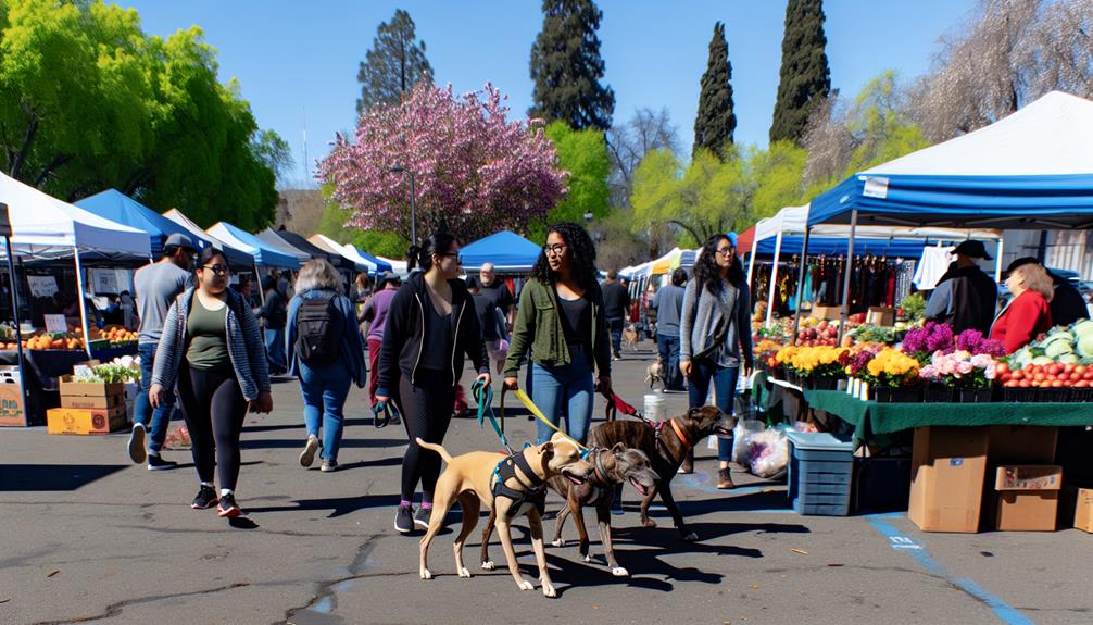 pet lovers guide to sacramento