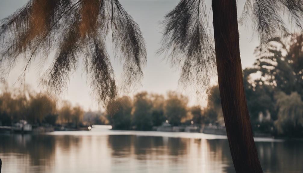 wind patterns in sacramento